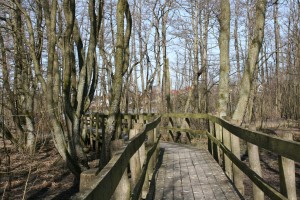 Et højskoleophold er vejen til at blive klogere på livet og dig selv