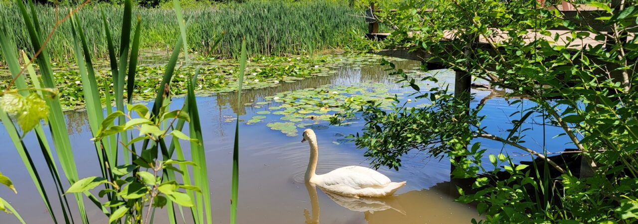 Miljøet i Danmark fortjener CO2 neutrale byggepladser