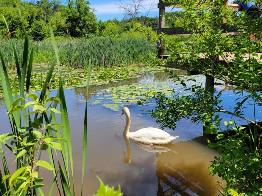 Miljøet i Danmark fortjener CO2 neutrale byggepladser